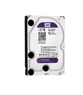 Disco fisso specifico per la videosorveglianza 1TB WD