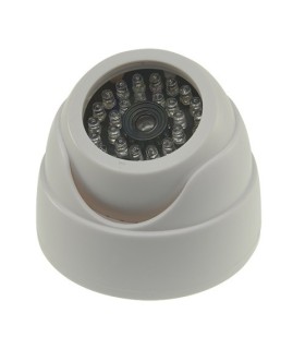 Caméra dôme simulée avec 30 LED IR