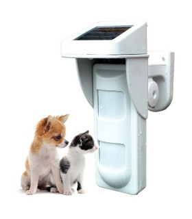 Detector de movimento PIR de exterior alimentado por painel solar